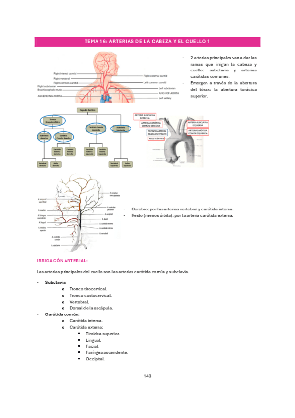 Miniatura del documento tema-16.pdf