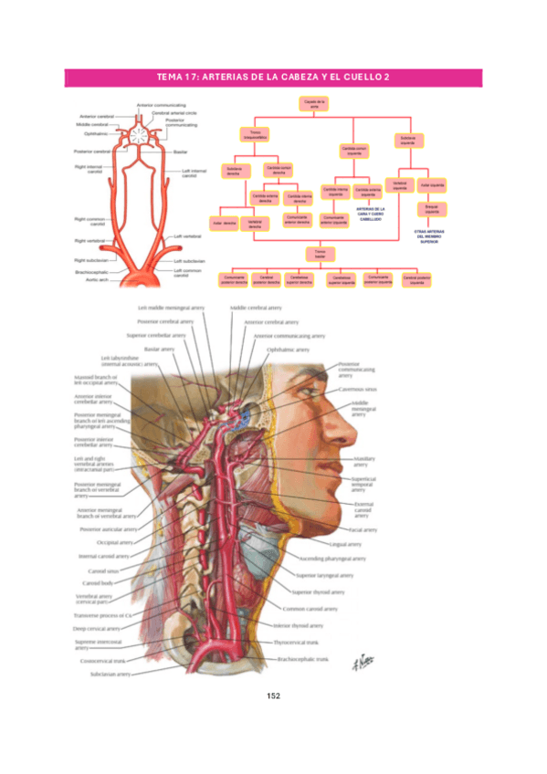 Miniatura del documento tema-17.pdf