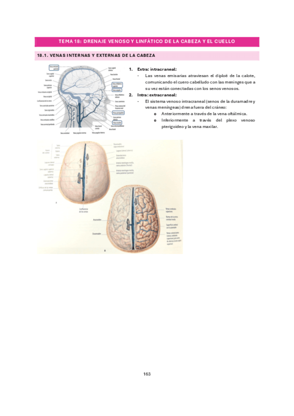 Miniatura del documento tema-18.pdf