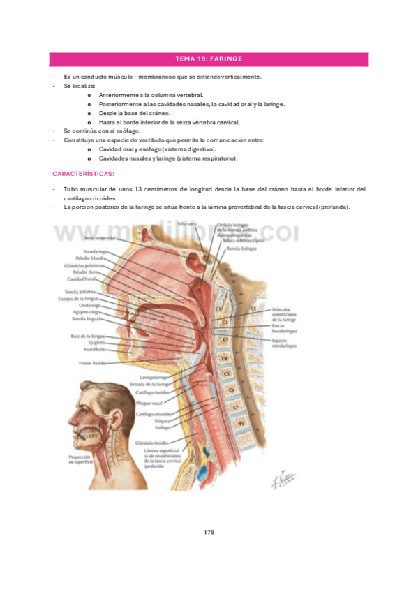 Miniatura del documento tema-19.pdf