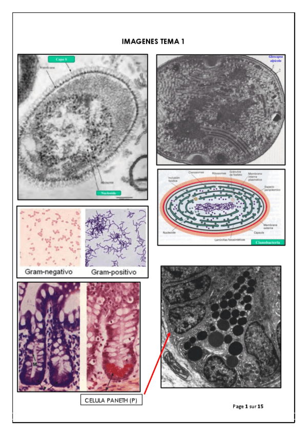 Miniatura del documento imagenes-temas.pdf