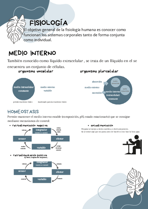 Miniatura del documento Fisiologia-bloque-1.pdf