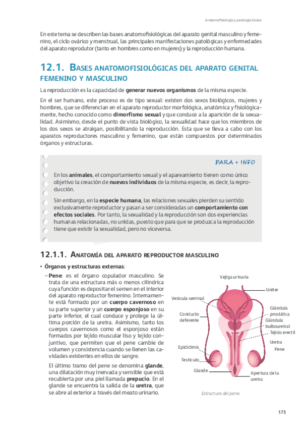 Miniatura del documento Tema-12-Aparato-reproductor.pdf