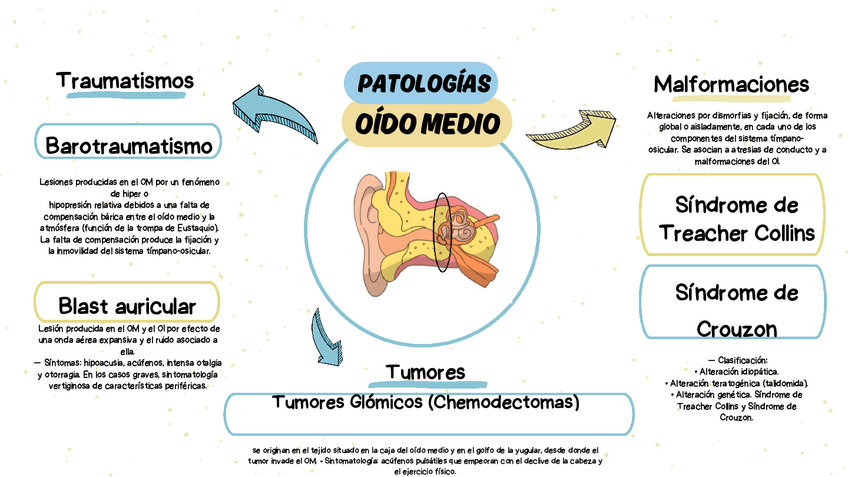 Miniatura del documento Patologias-Oido-medio2..pdf.pdf
