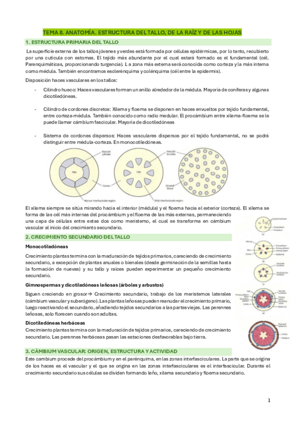 Miniatura del documento SEGUNDO-PARCIAL.pdf