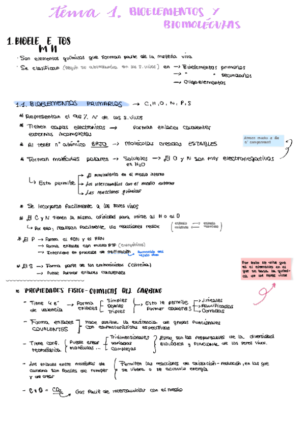 Miniatura del documento Tema-1.-Biomoleculas-y-bioelementos.pdf