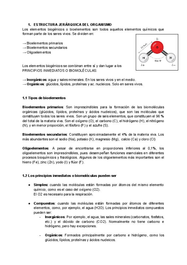 Miniatura del documento Estructura-y-organizacion-del-organismo-humano.pdf