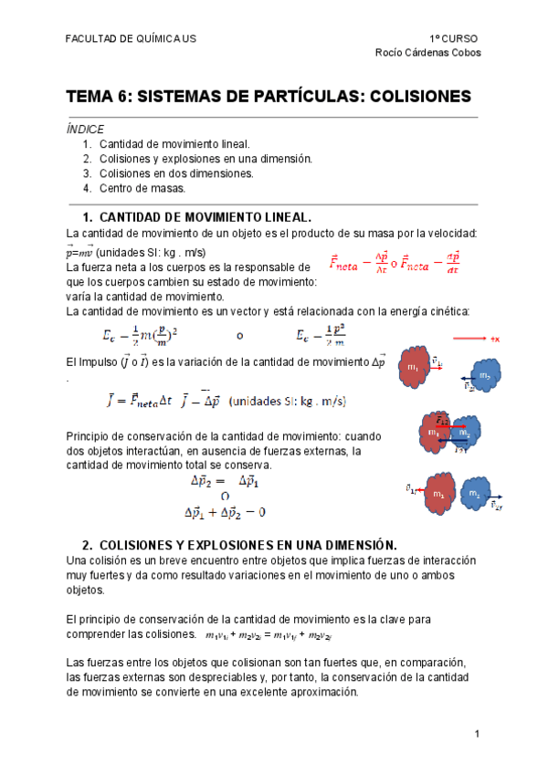 Miniatura del documento APUNTES-FISICA-I-TEMA-6-SISTEMAS-DE-PARTICULAS-COLISIONES.pdf