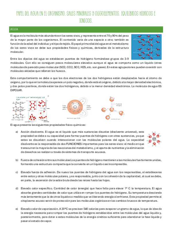 Miniatura del documento Bloque-1.pdf