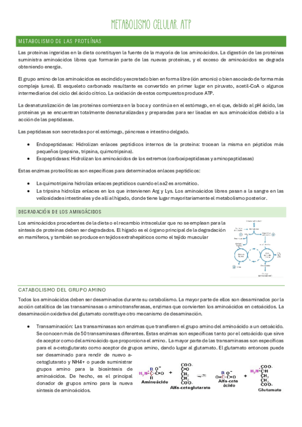 Miniatura del documento Bloque-4.pdf