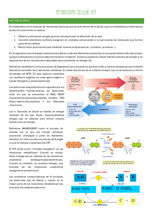 Miniatura del documento Bloque-5.pdf