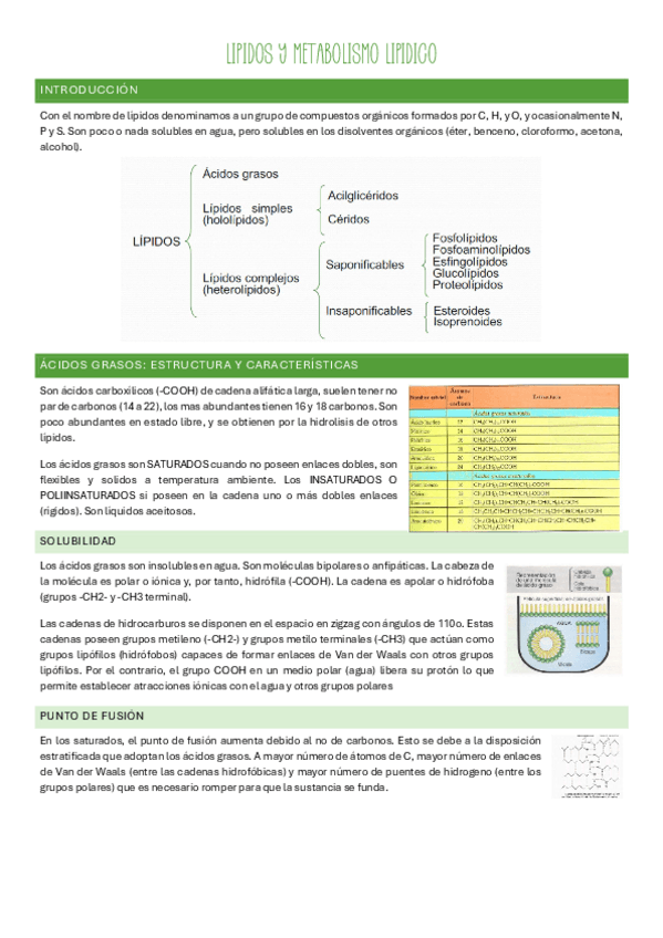 Miniatura del documento Bloque-6.pdf