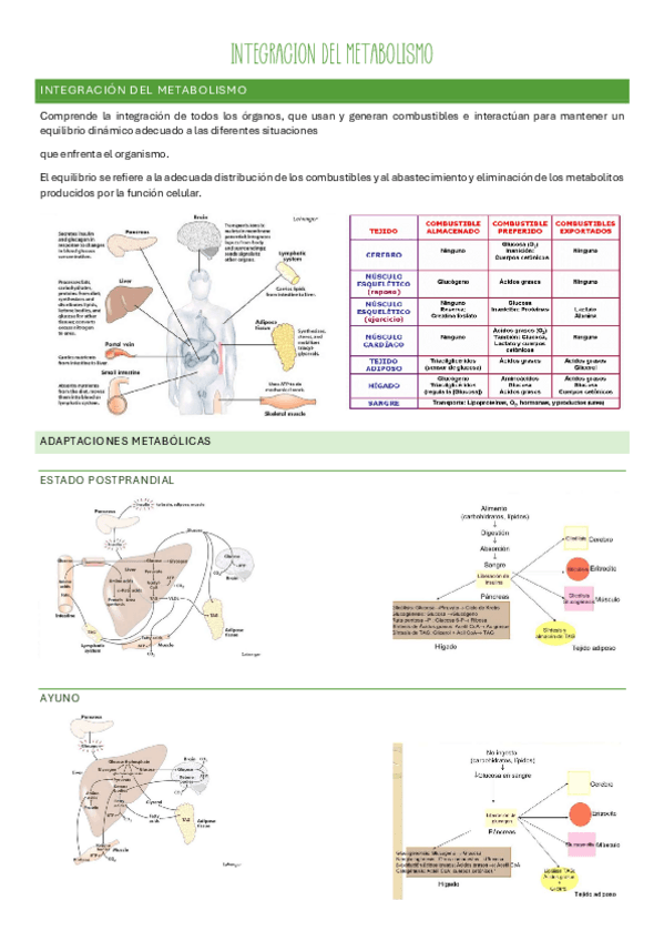 Miniatura del documento Bloque-7.pdf