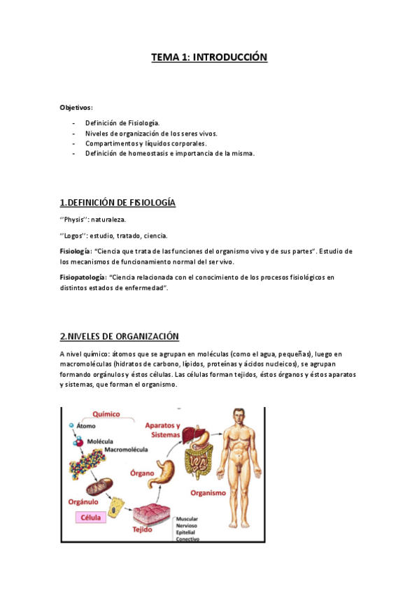 Miniatura del documento TEMA 1.pdf