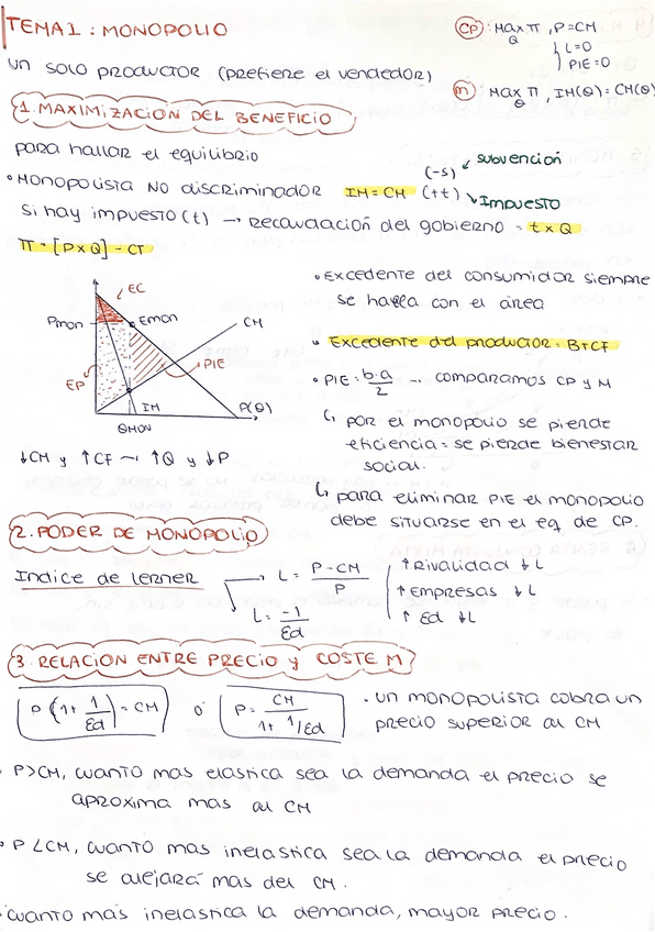 Miniatura del documento RESUMEN-MICRO.pdf
