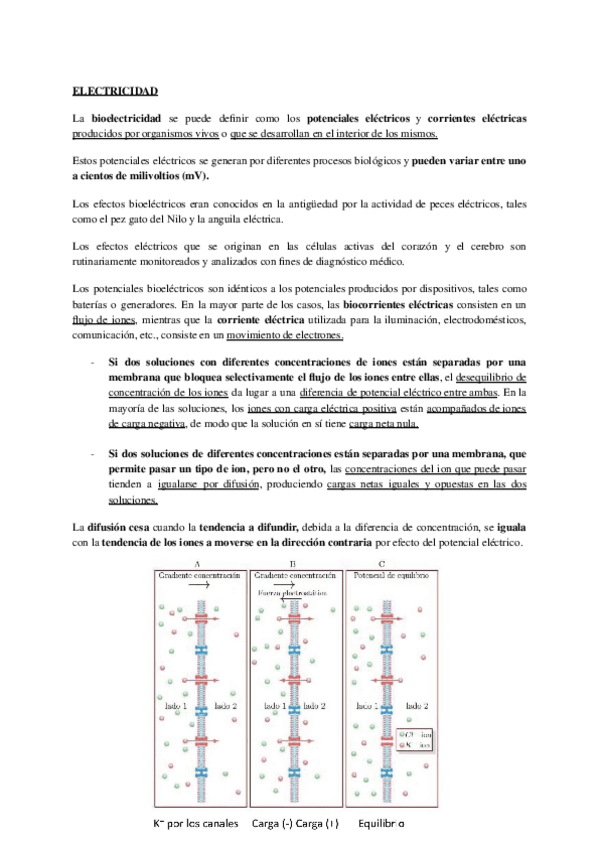 Miniatura del documento Electricidad.pdf