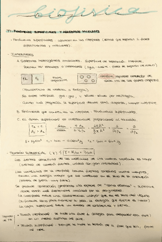 Miniatura del documento Apuntes-Biofisica.pdf