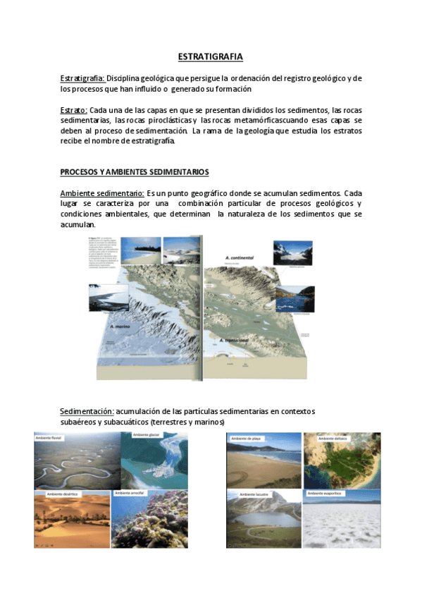 Miniatura del documento ESTRATIGRAFIA.pdf