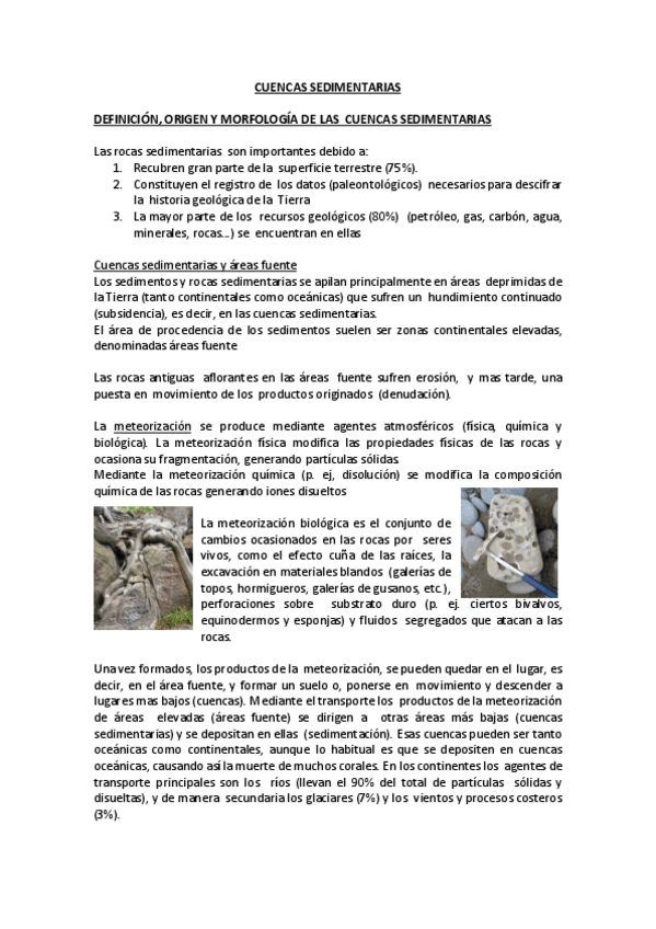 Miniatura del documento CUENCAS SEDIMENTARIAS.pdf