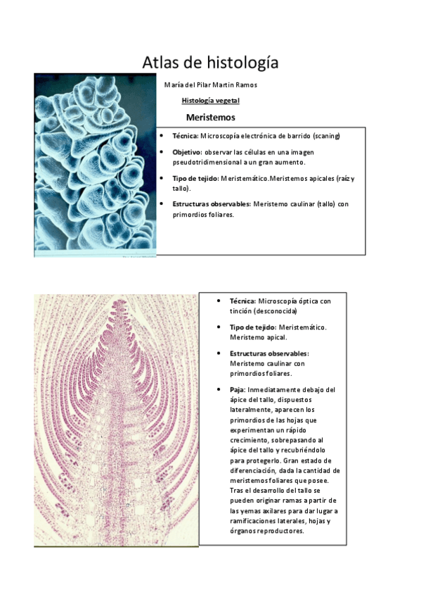 Miniatura del documento histologia vegetal.pdf