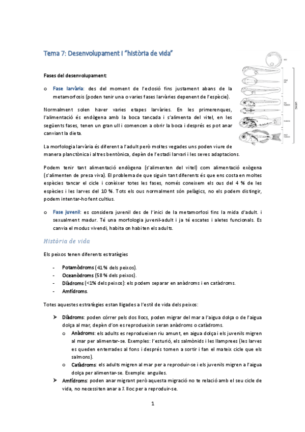 Miniatura del documento Tema 7.pdf