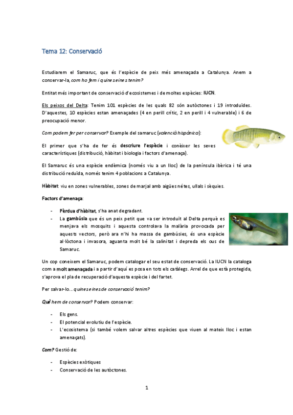 Miniatura del documento Tema 12.pdf