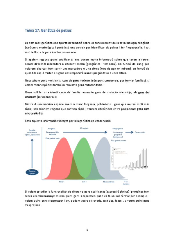 Miniatura del documento Tema 17.pdf