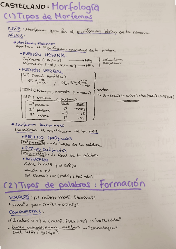 Miniatura del documento Morfologia.pdf
