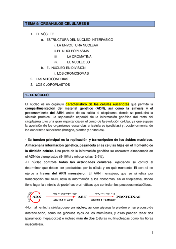 Miniatura del documento Tema-9-Organulos-celulares-II.pdf