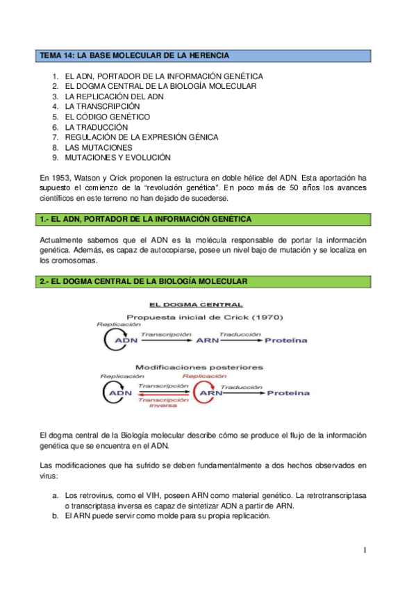 Miniatura del documento Tema-14-La-base-molecular-de-la-herencia.pdf
