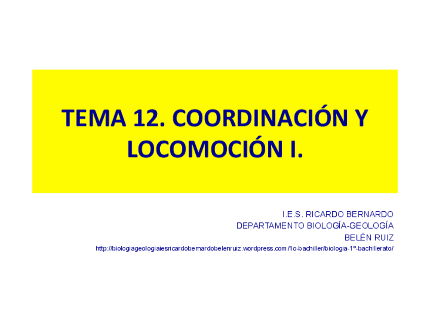 Miniatura del documento coordinacic3b3n-y-locomocic3b3n-i2.pdf