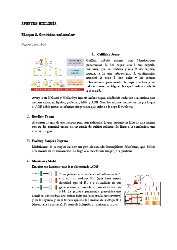 Miniatura del documento Genetica-molecular.pdf