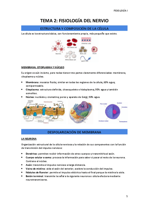 Miniatura del documento TEMA-2.pdf