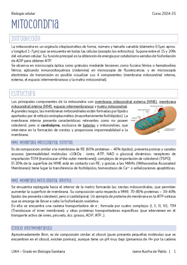 Miniatura del documento 7.-Mitocondria.pdf
