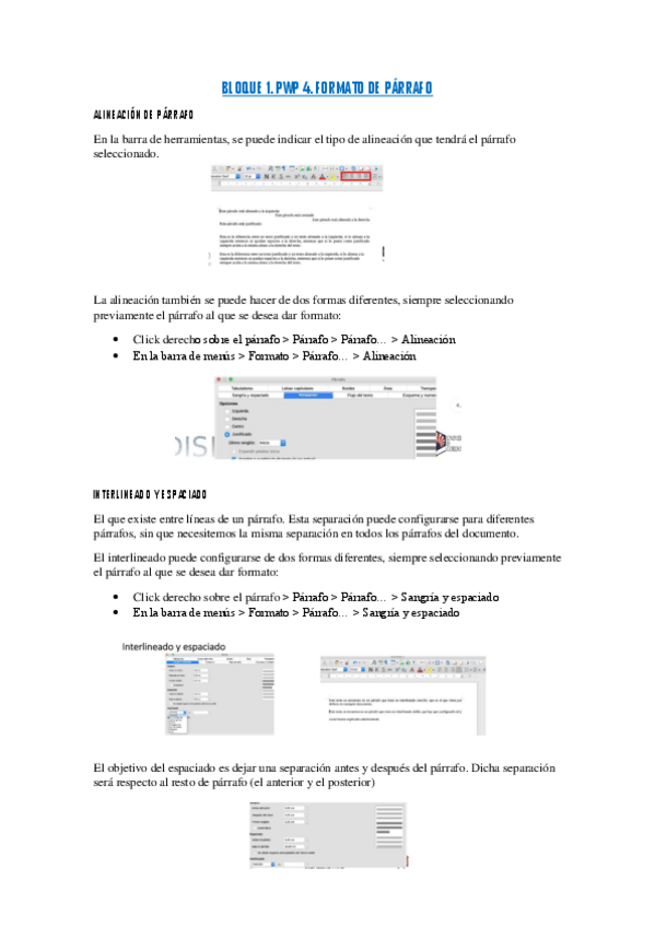 Miniatura del documento BLOQUE-1.-PWP-4.pdf