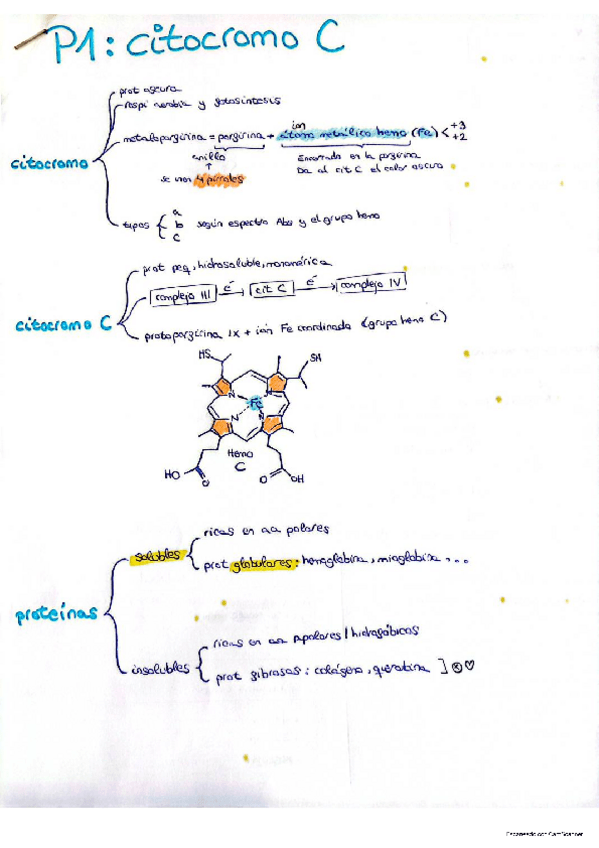 Miniatura del documento P1-bioq.pdf