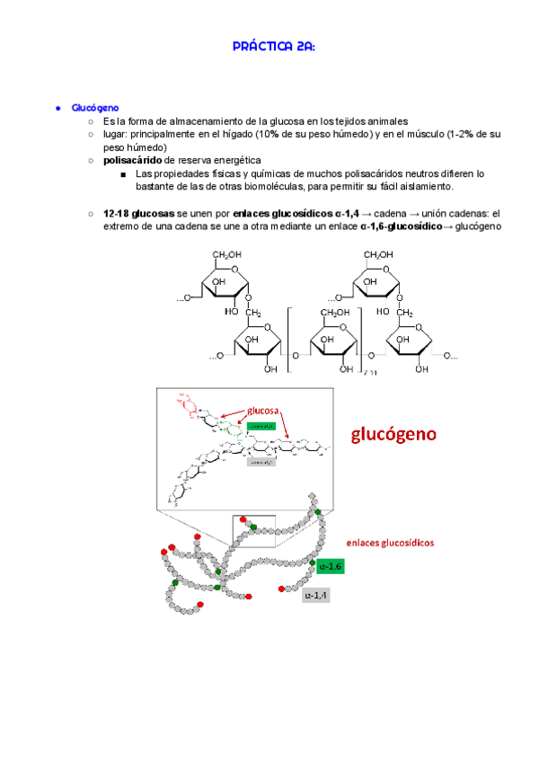 Miniatura del documento P2-bioq.pdf