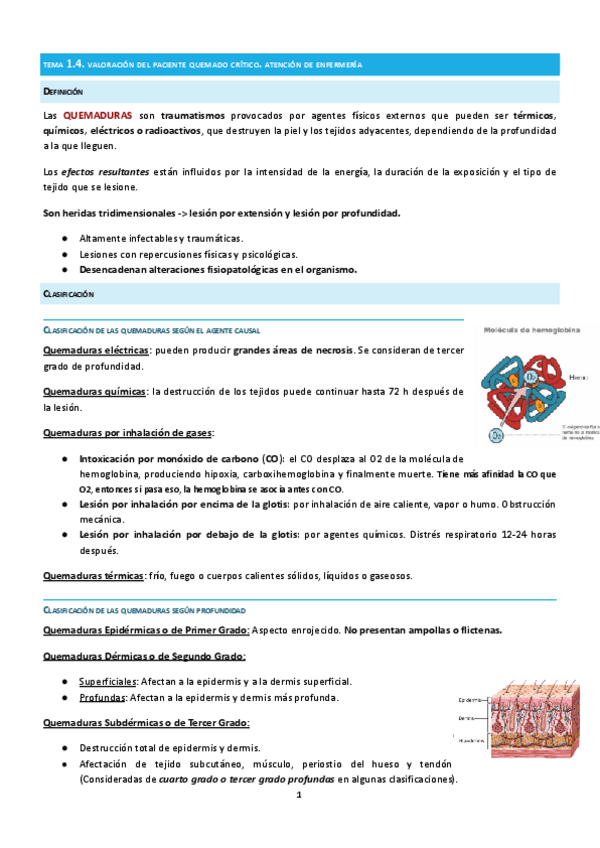 Miniatura del documento TEMA-1.4.-mq4-QUEMADOS-1.pdf