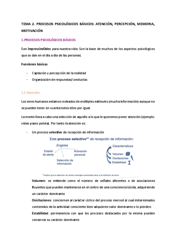 Miniatura del documento TEMA-2.-PROCESOS-PSICOLOGICOS-BASICOS.pdf