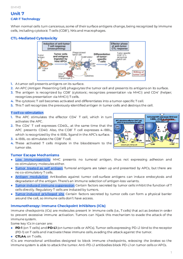 Miniatura del documento Unit-7-CAR-T-Technology.pdf