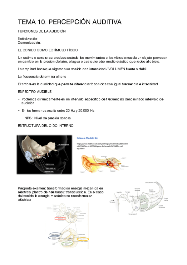 Miniatura del documento APUNTES-MIOS-ATENCION-TEMA-10.pdf