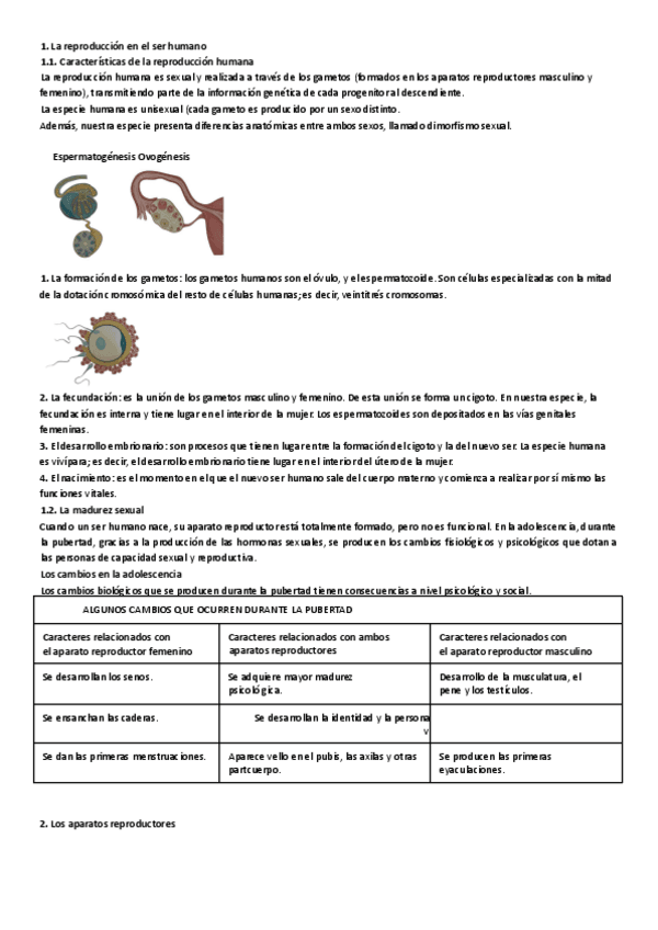 Miniatura del documento TEMA-3-La-funcion-de-reproduccion.pdf