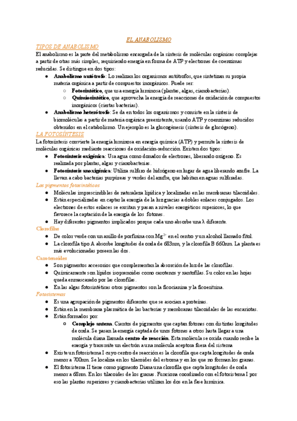 Miniatura del documento BIO-T13-2Bach.pdf