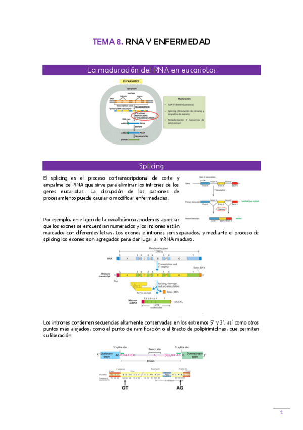 Miniatura del documento TEMA-8-Gen-clinica.pdf