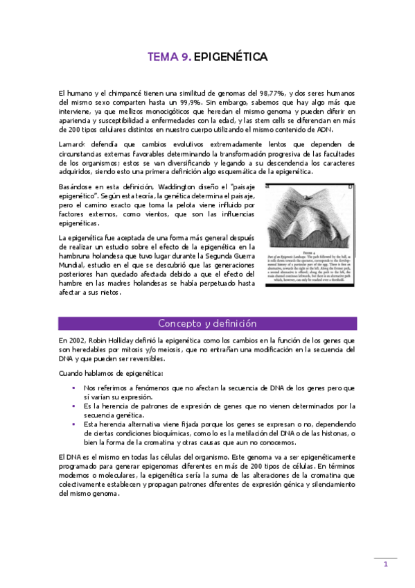 Miniatura del documento TEMA-9-Gen-clinica.pdf