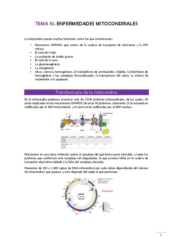 Miniatura del documento TEMA-10-Gen-clinica.pdf