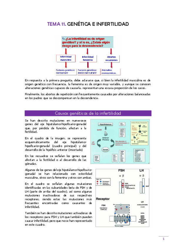 Miniatura del documento TEMA-11-Gen-clinica.pdf