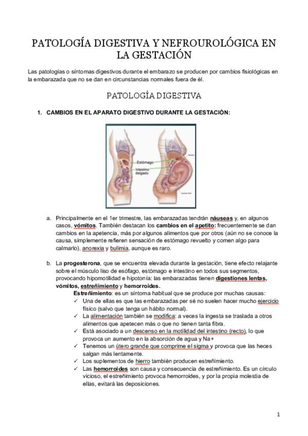 Miniatura del documento PATOLOGÍA DIGESTIVA Y NEFROUROLÓGICA EN LA GESTACIÓN.pdf