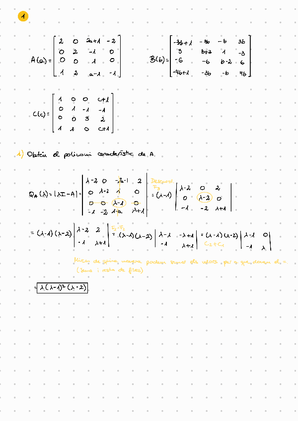 Miniatura del documento Examen-model-2025.pdf