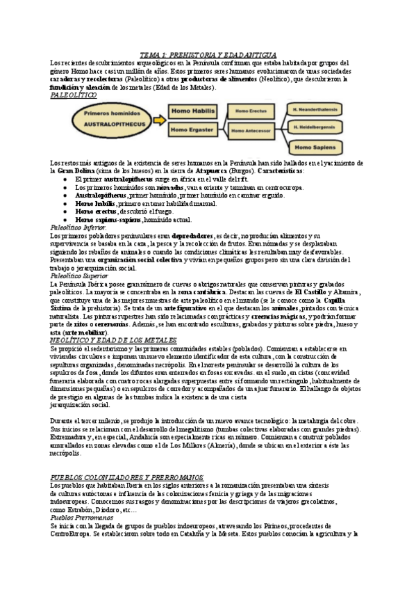 Miniatura del documento Historia-T1-2Bach.pdf